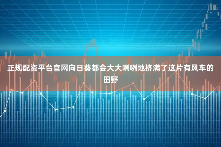 正规配资平台官网向日葵都会大大咧咧地挤满了这片有风车的田野