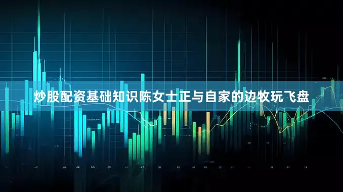 炒股配资基础知识陈女士正与自家的边牧玩飞盘