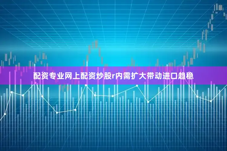 配资专业网上配资炒股r内需扩大带动进口趋稳