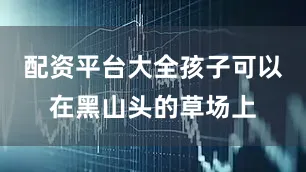 配资平台大全孩子可以在黑山头的草场上