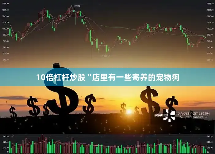 10倍杠杆炒股“店里有一些寄养的宠物狗