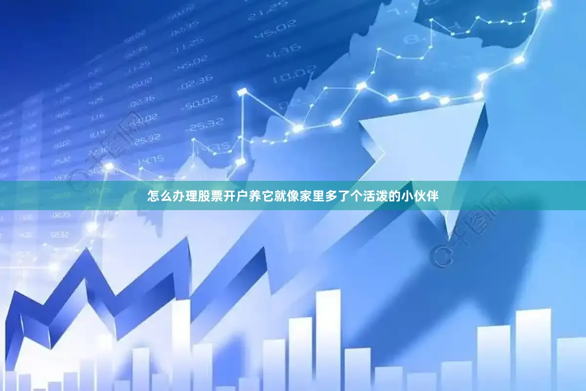 怎么办理股票开户养它就像家里多了个活泼的小伙伴
