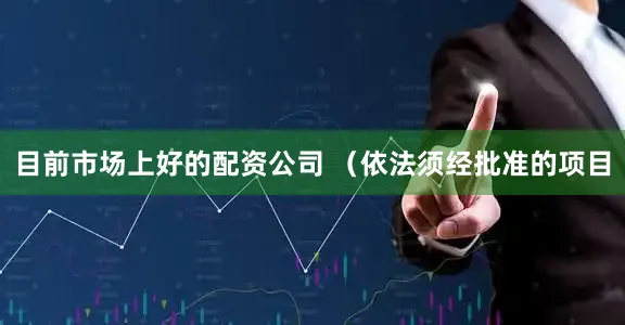 目前市场上好的配资公司 （依法须经批准的项目