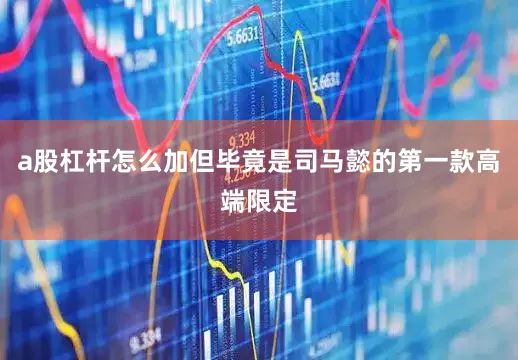 a股杠杆怎么加但毕竟是司马懿的第一款高端限定